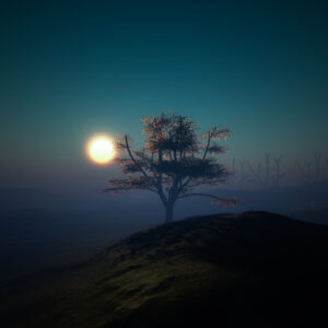 tree_sunset_night_lights_hill_97658_2048x2048